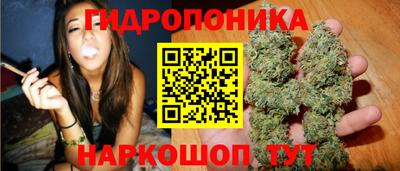 сатива Жуковский