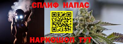 сатива Жуковский