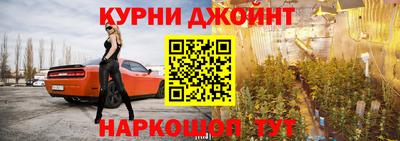 сатива Жуковский