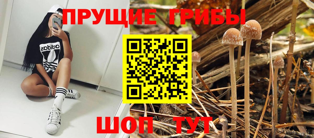 Галлюциногенные грибы мухоморы Лесосибирск
