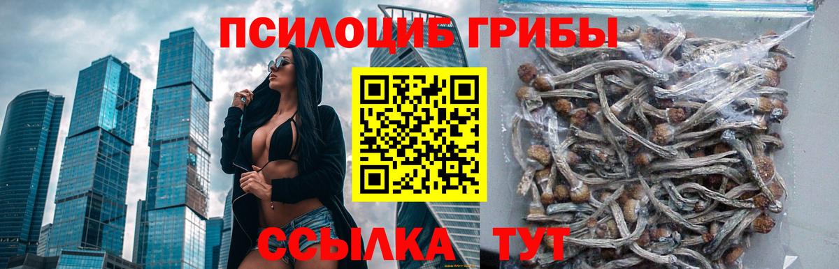 Псилоцибиновые грибы прущие грибы  Вход с VPN  Лесосибирск 